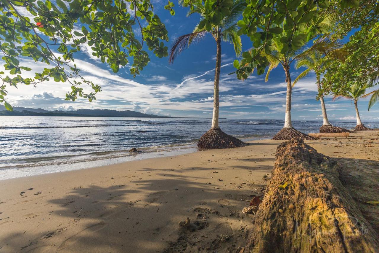 Puerto Viejo de TalamancaCasa Ylang In Black Sand Beach别墅 外观 照片