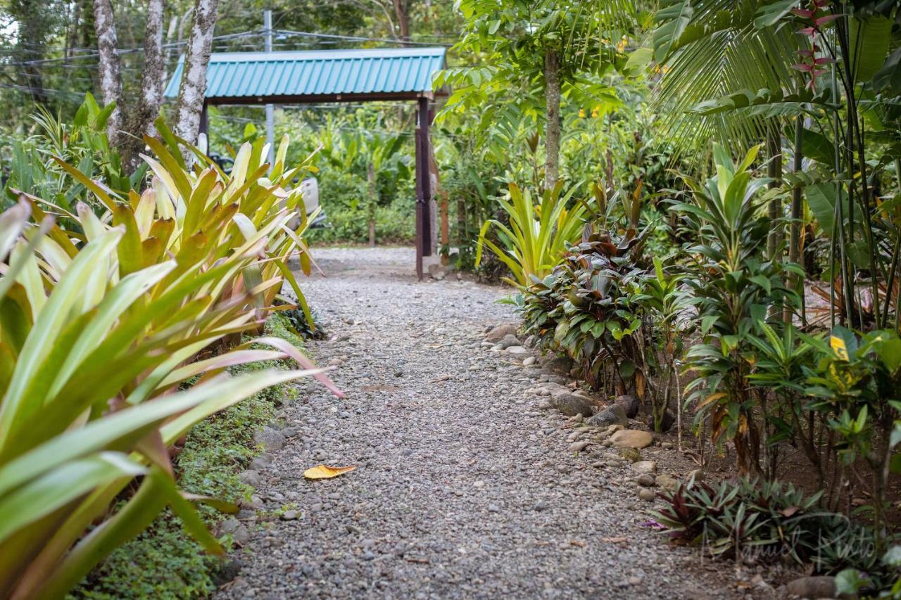 Puerto Viejo de TalamancaCasa Ylang In Black Sand Beach别墅 外观 照片